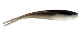 GULP Minnow GULP Minnow